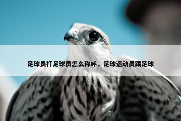 足球员打足球员怎么称呼,足球运动员踢足球 足球员打足球员怎么称呼,足球运动员踢足球