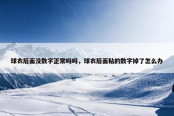 球衣后面没数字正常吗吗，球衣后面粘的数字掉了怎么办