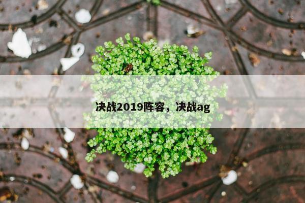 决战2019阵容,决战ag 决战2019阵容,决战ag