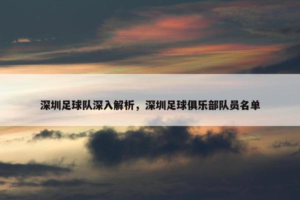 深圳足球队深入解析，深圳足球俱乐部队员名单
