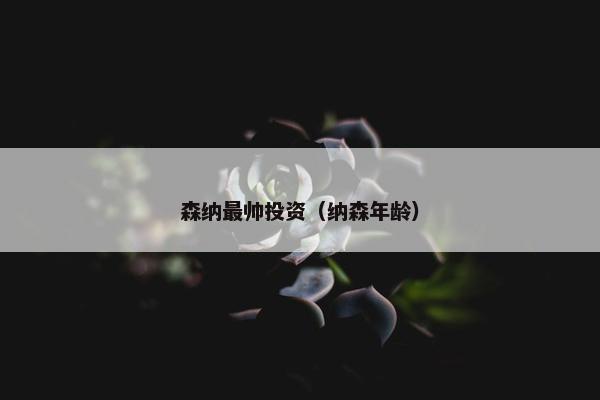 森纳最帅投资（纳森年龄）
