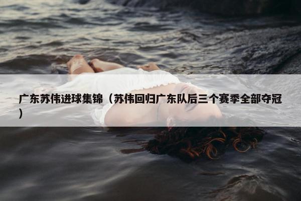 广东苏伟进球集锦(苏伟回归广东队后三个赛季全部夺冠) 广东苏伟进球集锦(苏伟回归广东队后三个赛季全部夺冠)