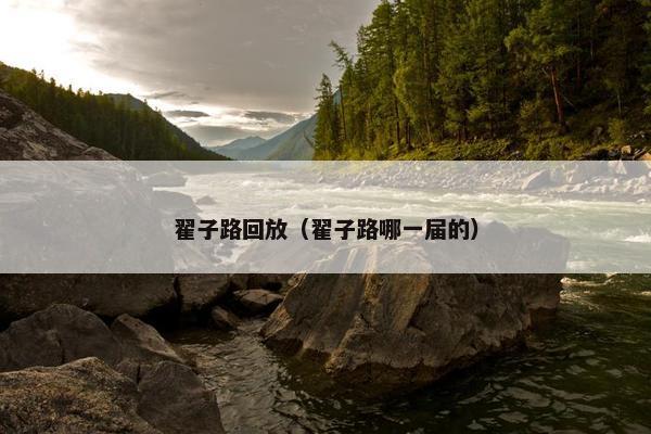 翟子路回放（翟子路哪一届的）