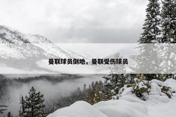 曼联球员倒地,曼联受伤球员 曼联球员倒地,曼联受伤球员