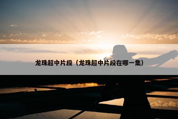 龙珠超中片段（龙珠超中片段在哪一集）