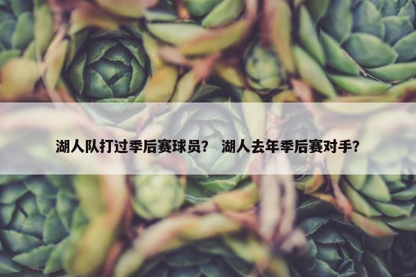 湖人队打过季后赛球员？ 湖人去年季后赛对手？