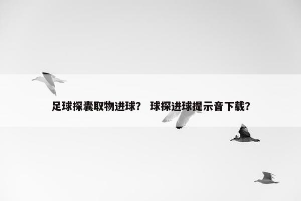 足球探囊取物进球? 球探进球提示音下载? 足球探囊取物进球? 球探进球提示音下载?