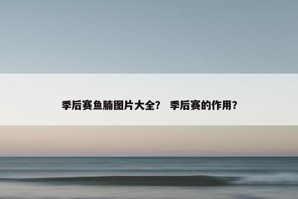 季后赛鱼腩图片大全? 季后赛的作用? 季后赛鱼腩图片大全? 季后赛的作用?