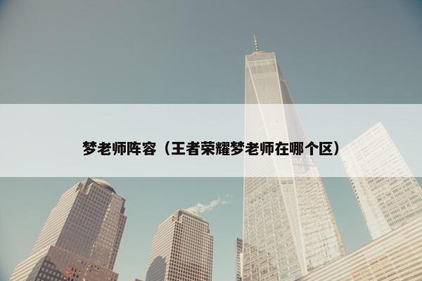 梦老师阵容（王者荣耀梦老师在哪个区）
