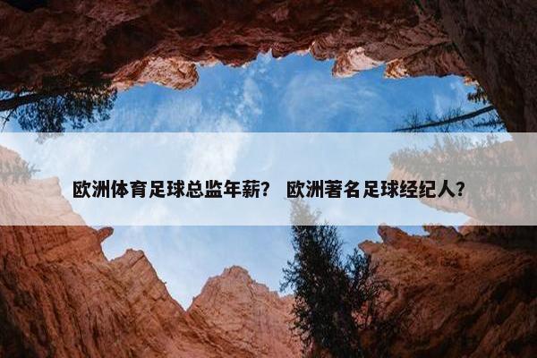 欧洲体育足球总监年薪? 欧洲著名足球经纪人? 欧洲体育足球总监年薪? 欧洲著名足球经纪人?