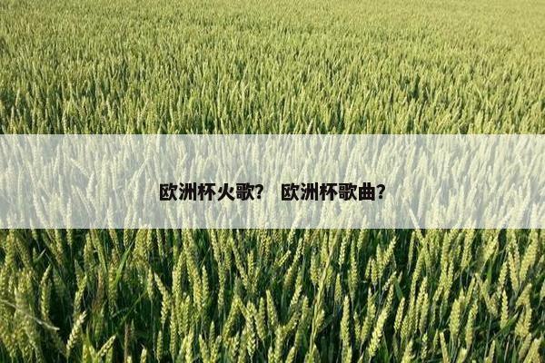 欧洲杯火歌？ 欧洲杯歌曲？