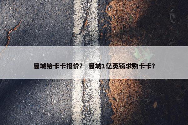 曼城给卡卡报价？ 曼城1亿英镑求购卡卡？