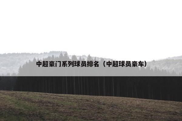 中超豪门系列球员排名(中超球员豪车) 中超豪门系列球员排名(中超球员豪车)