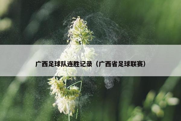 广西足球队连胜记录（广西省足球联赛）
