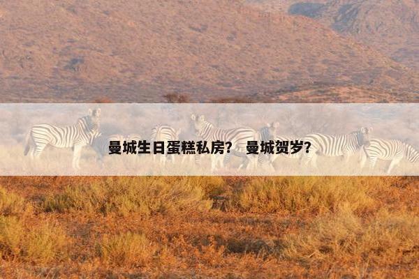 曼城生日蛋糕私房? 曼城贺岁? 曼城生日蛋糕私房? 曼城贺岁?