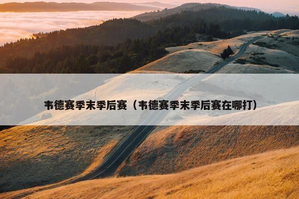 韦德赛季末季后赛（韦德赛季末季后赛在哪打）