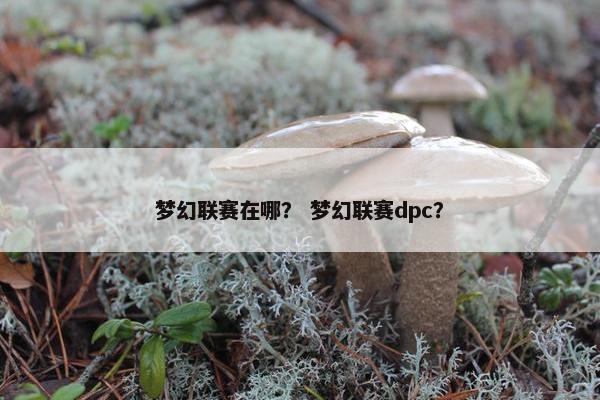 梦幻联赛在哪？ 梦幻联赛dpc？