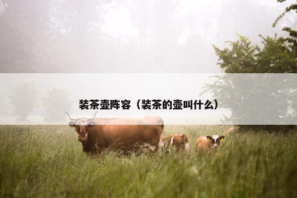 装茶壶阵容(装茶的壶叫什么) 装茶壶阵容(装茶的壶叫什么)