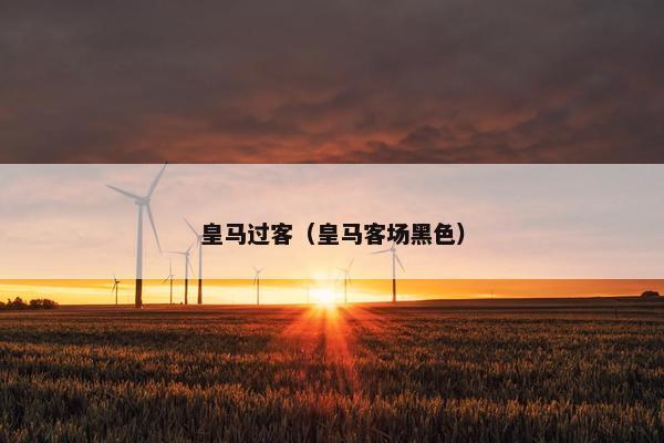皇马过客(皇马客场黑色) 皇马过客(皇马客场黑色)
