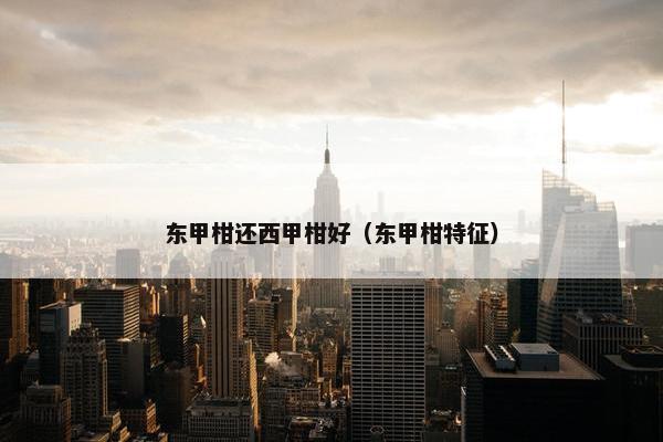 东甲柑还西甲柑好(东甲柑特征) 东甲柑还西甲柑好(东甲柑特征)