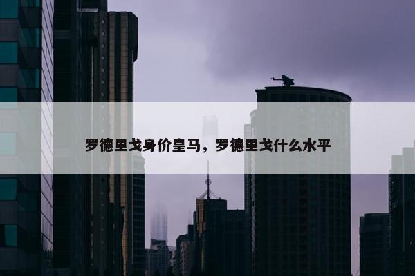 罗德里戈身价皇马，罗德里戈什么水平