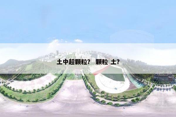 土中超颗粒？ 颗粒 土？
