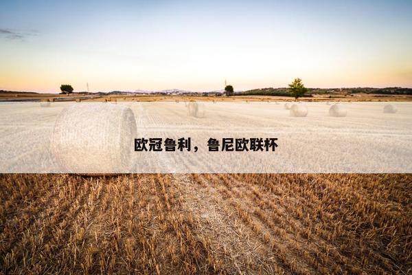 欧冠鲁利，鲁尼欧联杯