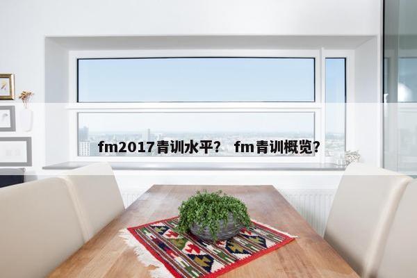 fm2017青训水平？ fm青训概览？
