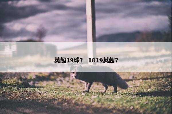 英超19球？ 1819英超？