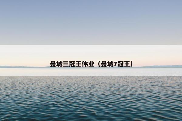 曼城三冠王伟业（曼城7冠王）