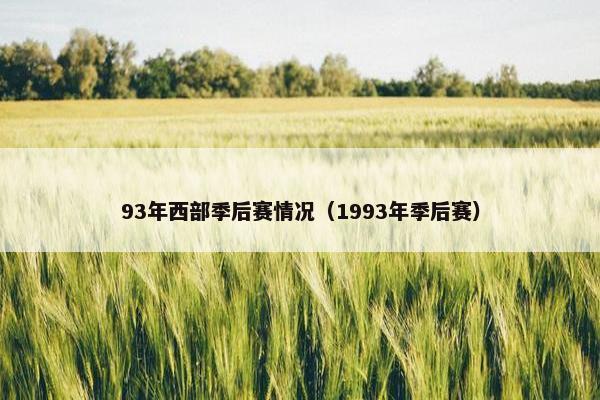 93年西部季后赛情况（1993年季后赛）