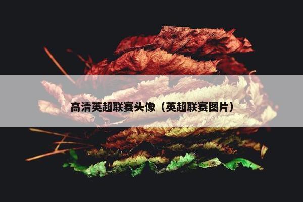 高清英超联赛头像（英超联赛图片）