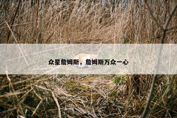 众星詹姆斯，詹姆斯万众一心