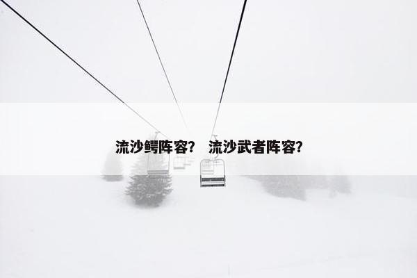 流沙鳄阵容？ 流沙武者阵容？