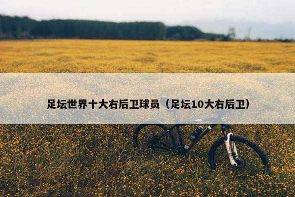 足坛世界十大右后卫球员（足坛10大右后卫）