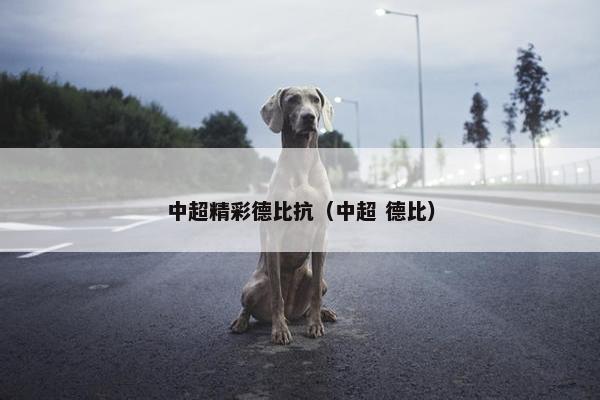 中超精彩德比抗（中超 德比）