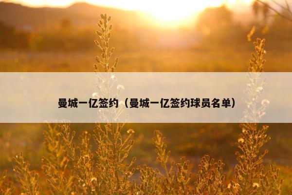 曼城一亿签约（曼城一亿签约球员名单）