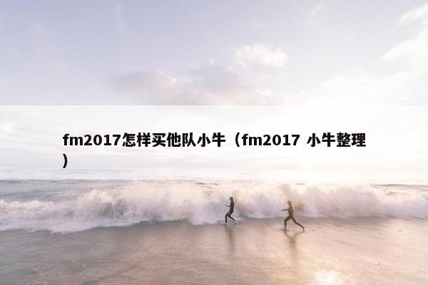 fm2017怎样买他队小牛（fm2017 小牛整理）