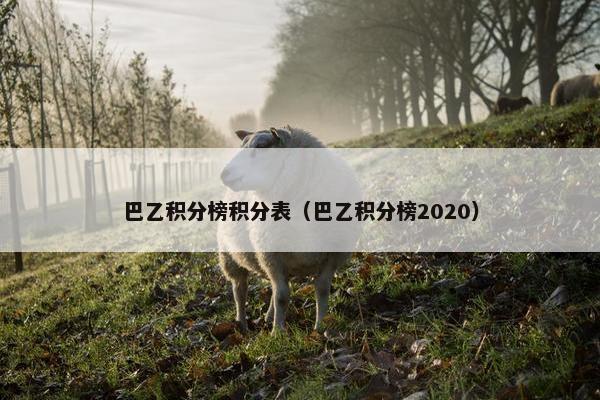 巴乙积分榜积分表（巴乙积分榜2020）