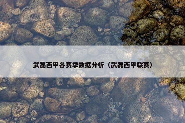 武磊西甲各赛季数据分析（武磊西甲联赛）