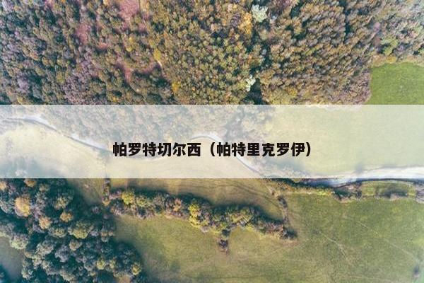 帕罗特切尔西(帕特里克罗伊) 帕罗特切尔西(帕特里克罗伊)