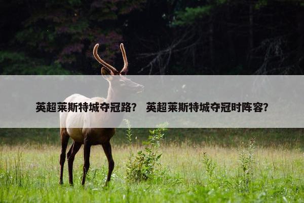 英超莱斯特城夺冠路？ 英超莱斯特城夺冠时阵容？