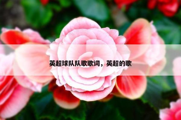 英超球队队歌歌词，英超的歌