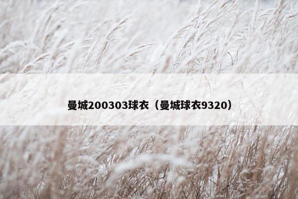 曼城200303球衣（曼城球衣9320）