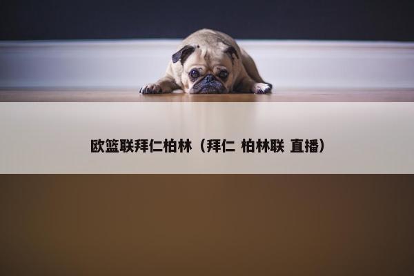 欧篮联拜仁柏林(拜仁 柏林联 直播) 欧篮联拜仁柏林(拜仁 柏林联 直播)