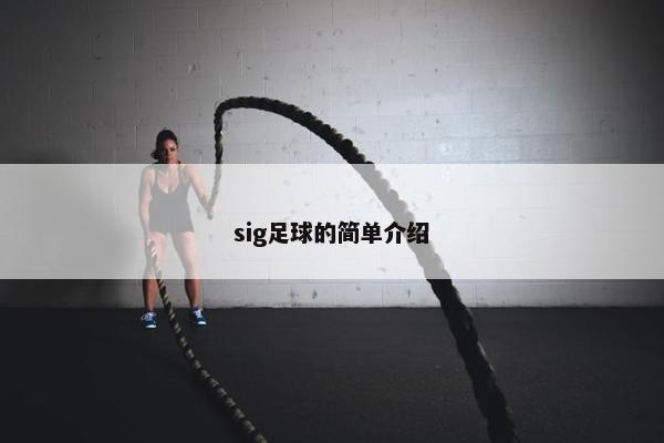 sig足球的简单介绍 sig足球的简单介绍