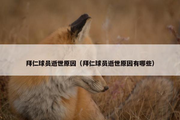 拜仁球员逝世原因（拜仁球员逝世原因有哪些）