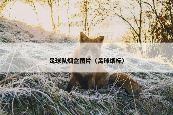 足球队烟盒图片（足球烟标）