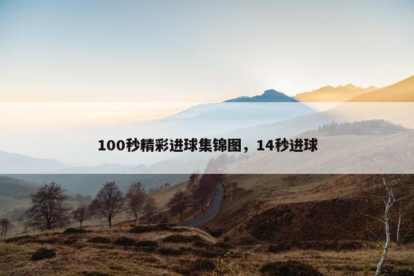 100秒精彩进球集锦图，14秒进球