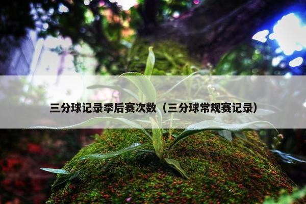 三分球记录季后赛次数（三分球常规赛记录）